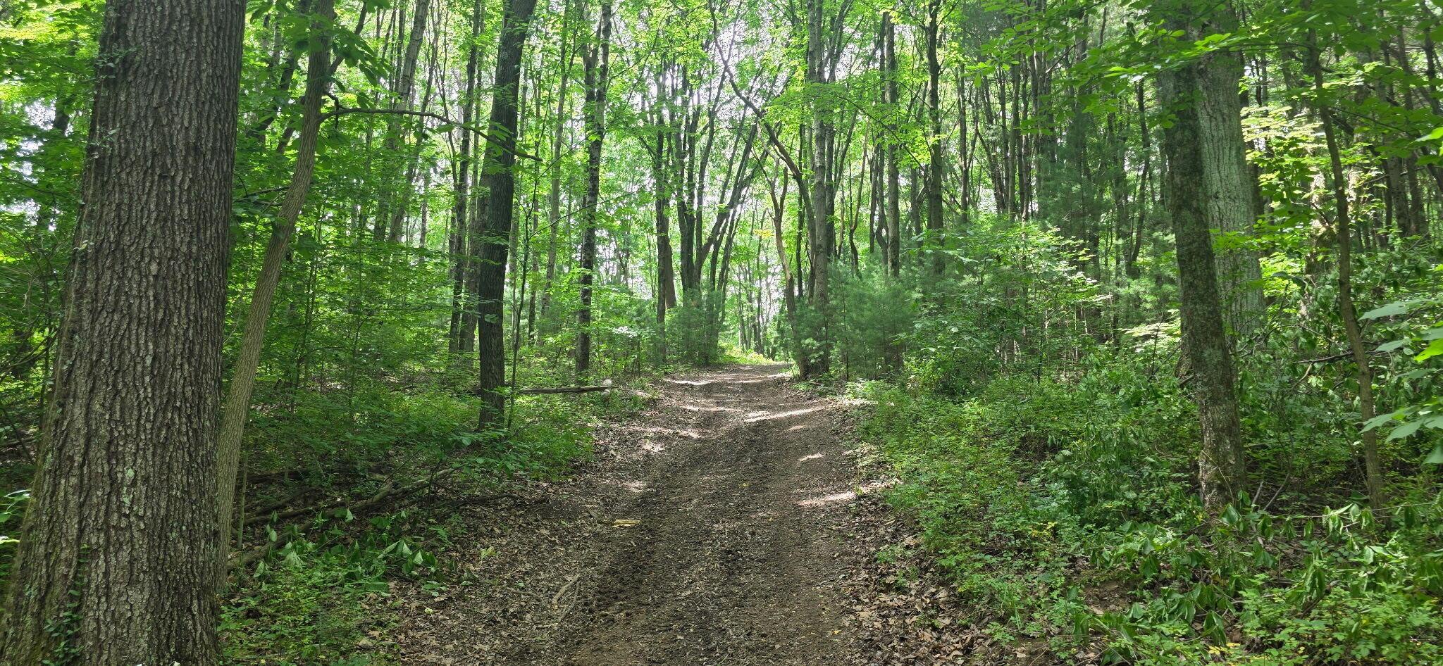 2709 Arter Road Southwest Lancaster, OH 43130 - Photo 15 of 39