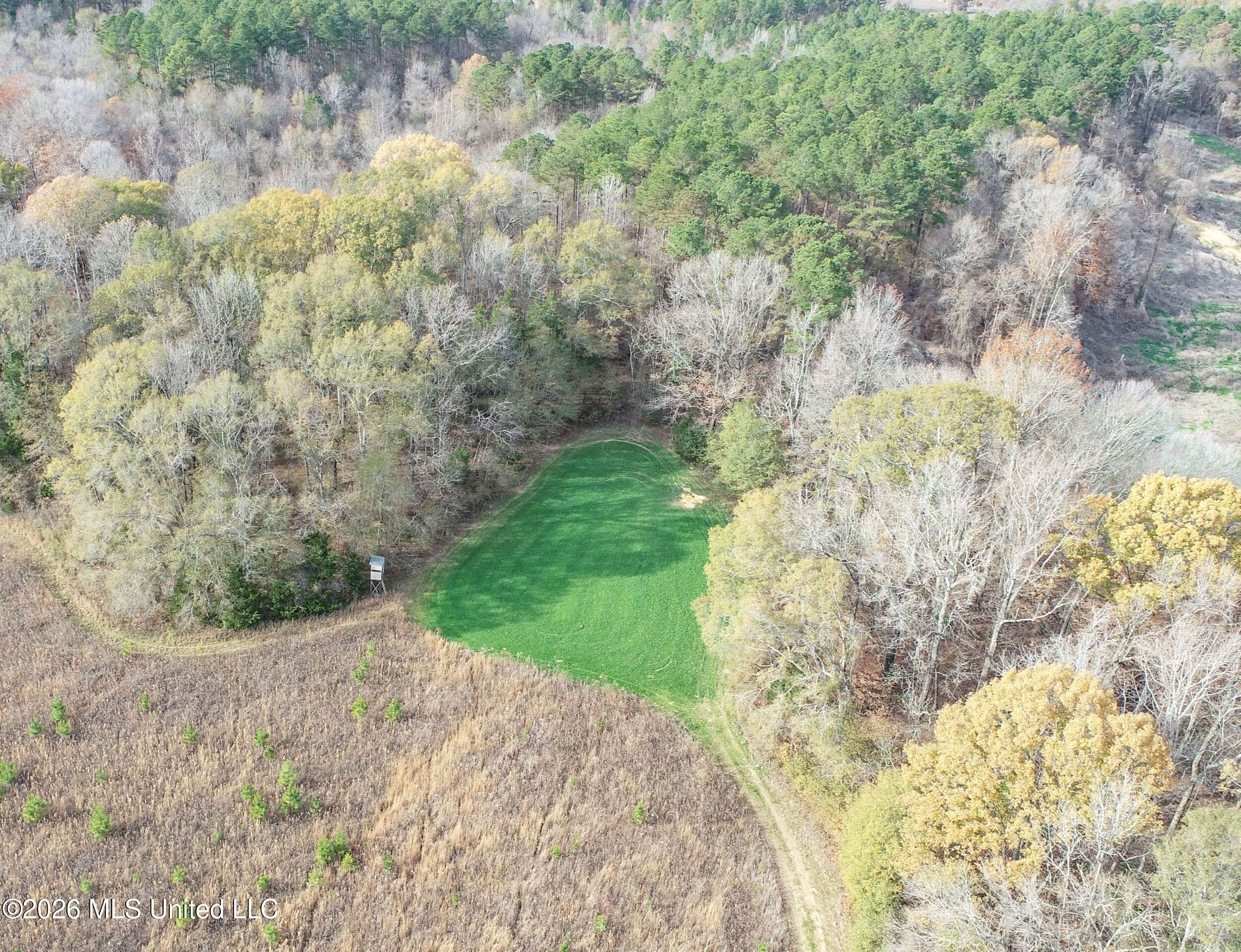 Chinqupin Road Lexington, MS 39095 - Photo 68 of 210 5chqpn54
