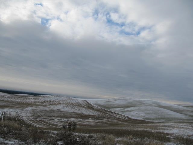 22010 West Washington Road Cheney, WA 99004 - Photo 4 of 4