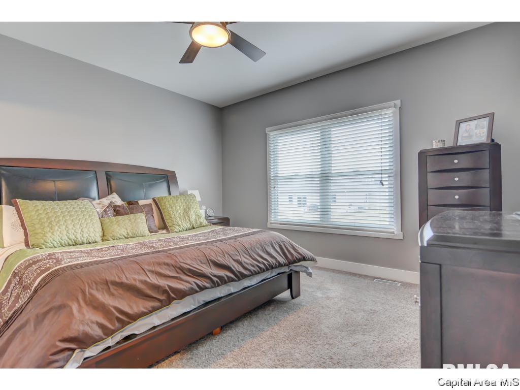 517 Sawmill Court Rochester, IL 62563 - Photo 21 of 34