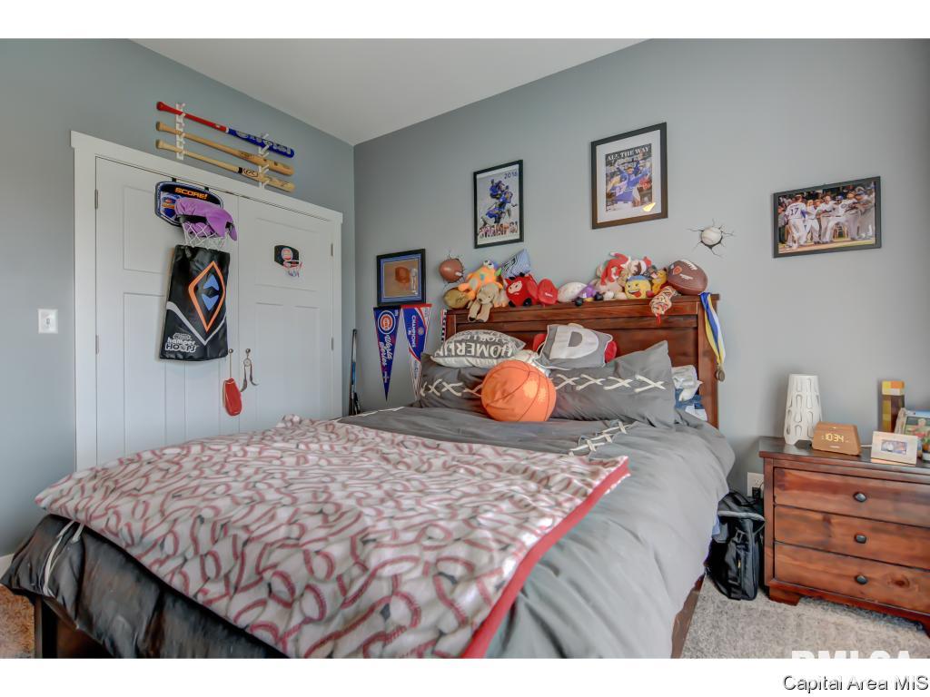 517 Sawmill Court Rochester, IL 62563 - Photo 24 of 34