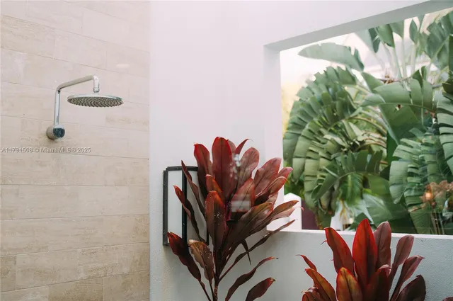 a view of a potted plant with lots of bushes