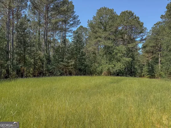 $1,230,000 | 3260 Highway 153, Preston, GA 31824