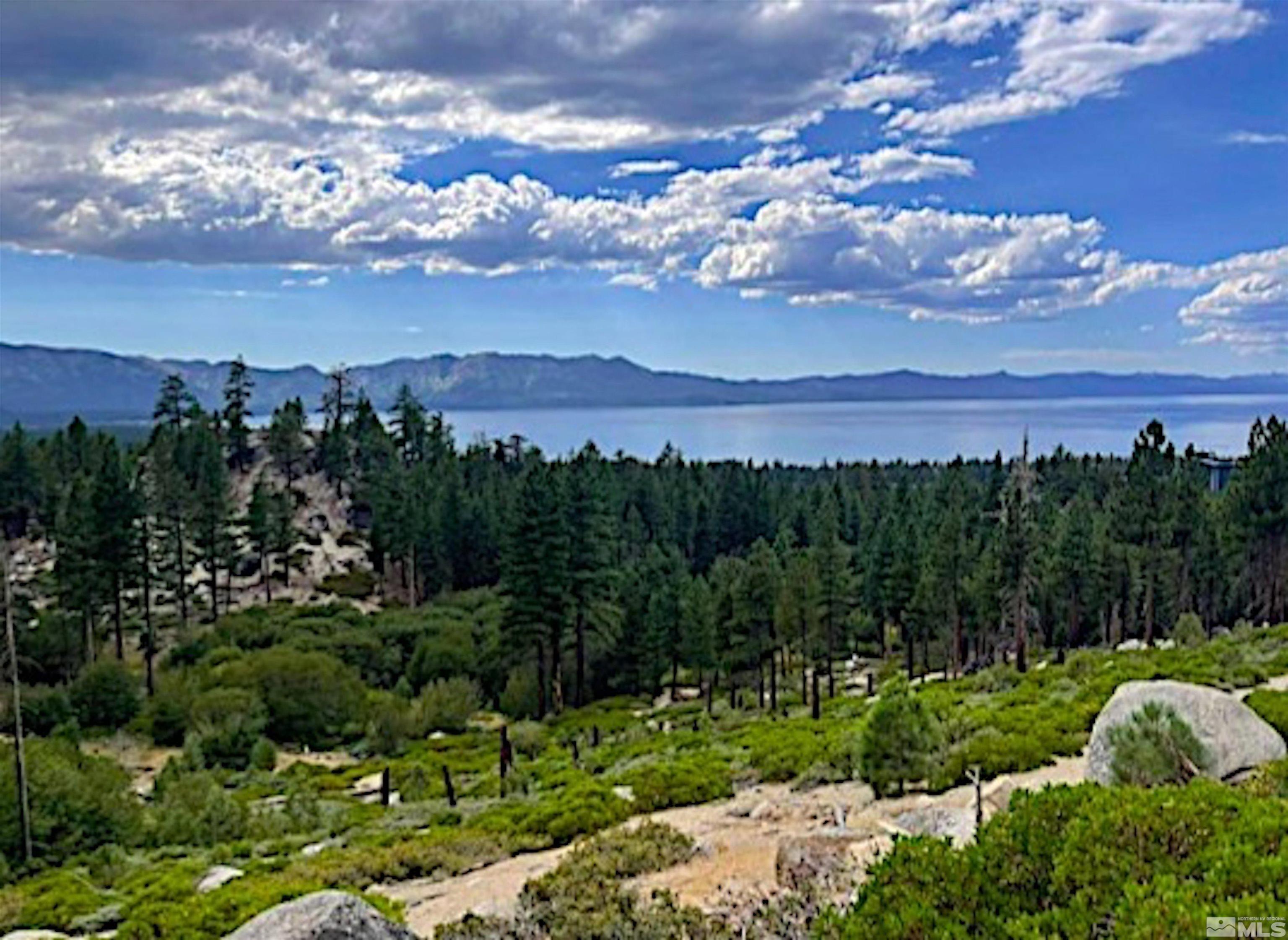 313 Tramway Drive, Unit 26 Stateline, NV 89449 - Photo 19 of 19 a view of a city with lots of tress in the background