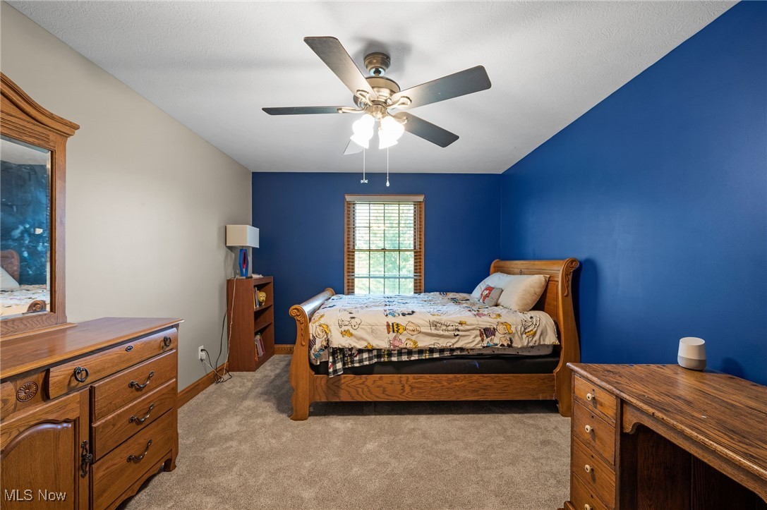 10001 Jones Road Litchfield, OH 44253 - Photo 32 of 43 Gallery Image 32