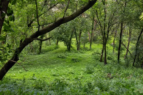 $1,345,000 | 3360 Watertown Road, Orono, MN 55356