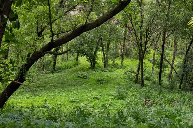 $1,345,000 | 3360 Watertown Road, Orono, MN 55356