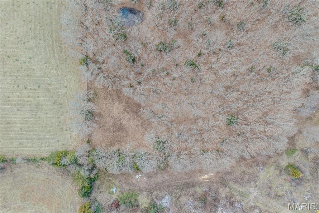 19456 Jewell Road Lebanon, MO 65536 - Photo 57 of 65