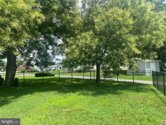 a view of a park with large trees