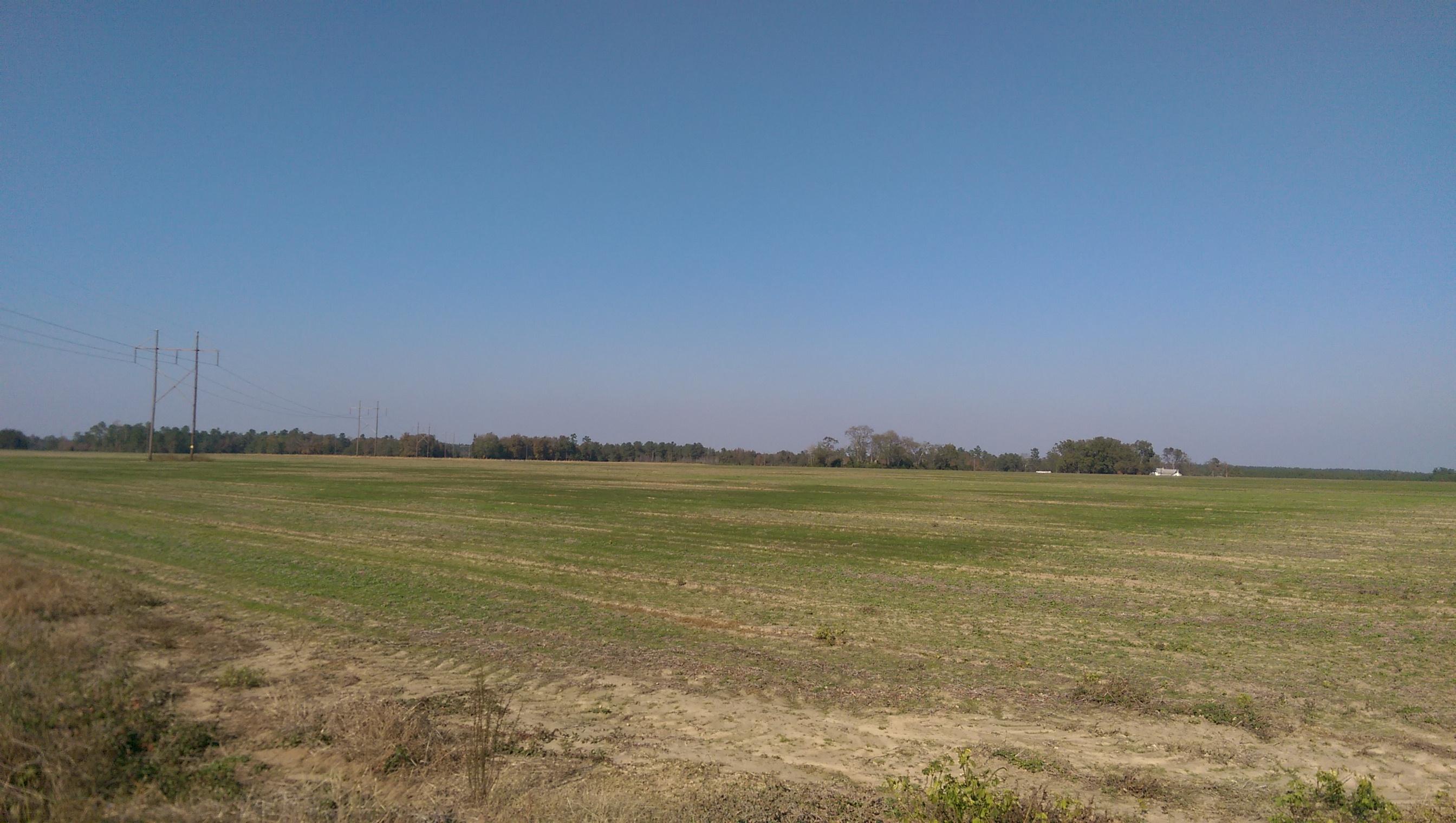 Tbd Lone Star Road Cameron, SC 29030 - Photo 1 of 5 IMAG2848
