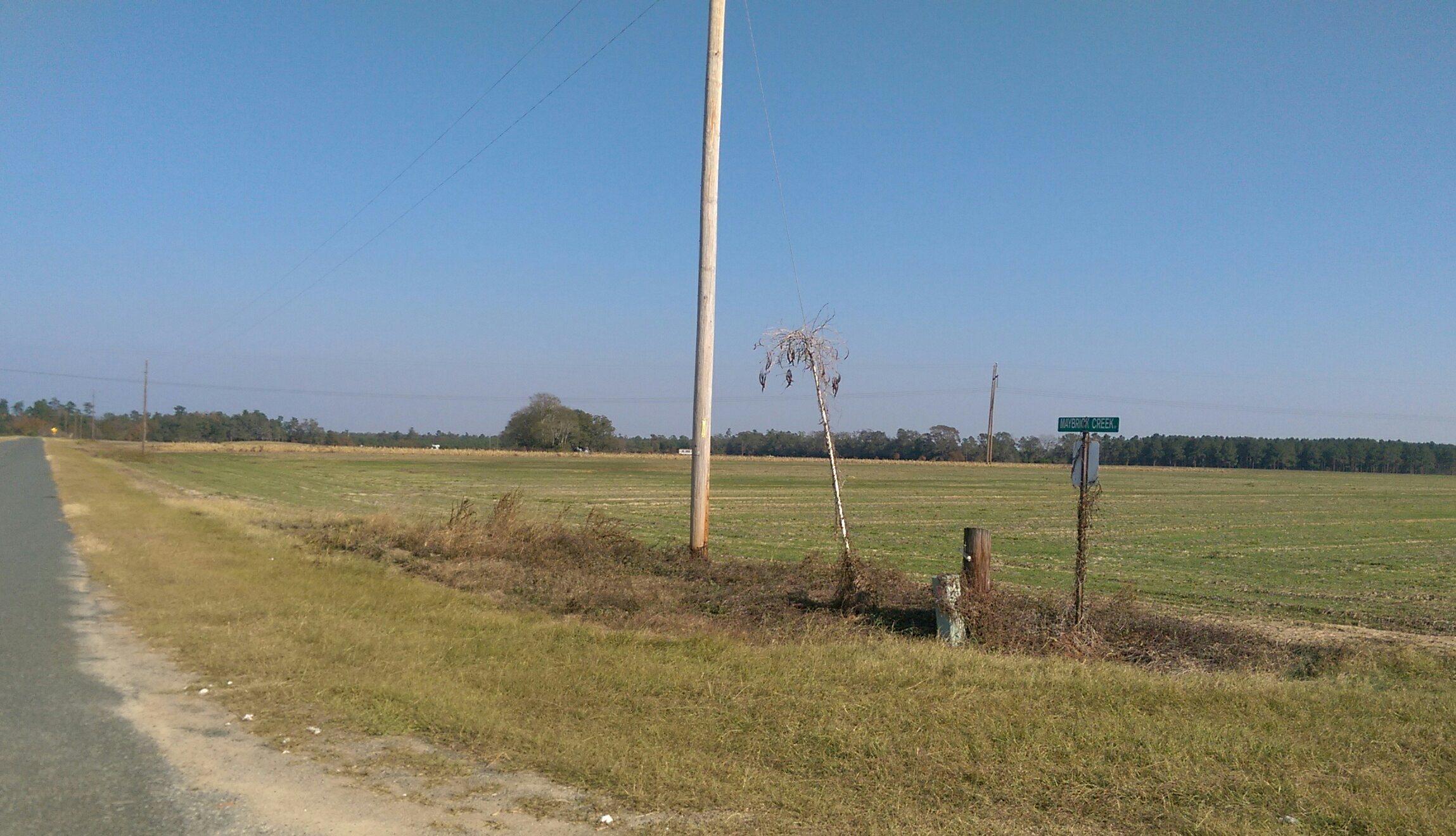 Tbd Lone Star Road Cameron, SC 29030 - Photo 3 of 5 IMAG2851_1