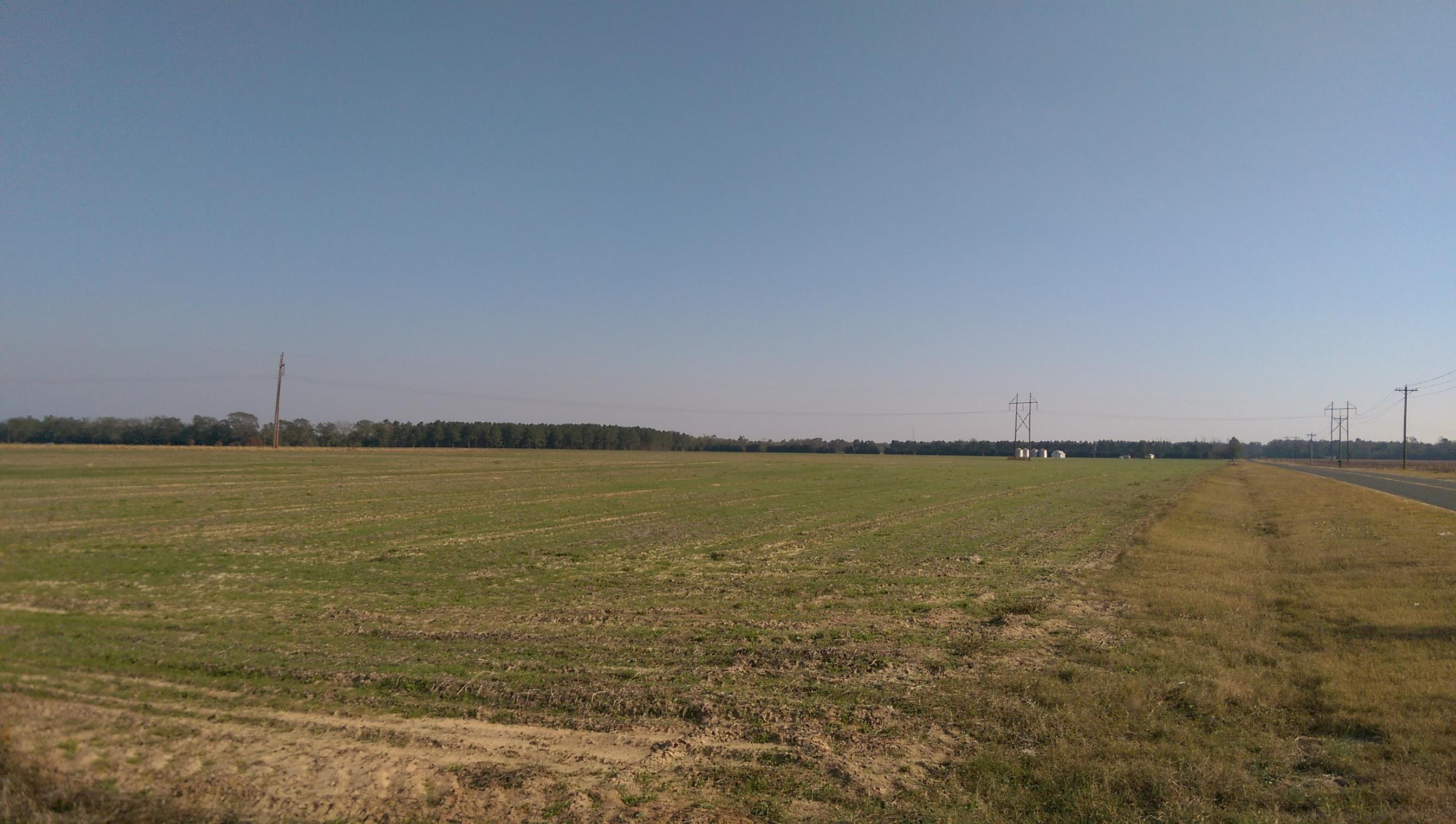 Tbd Lone Star Road Cameron, SC 29030 - Photo 4 of 5 IMAG2852