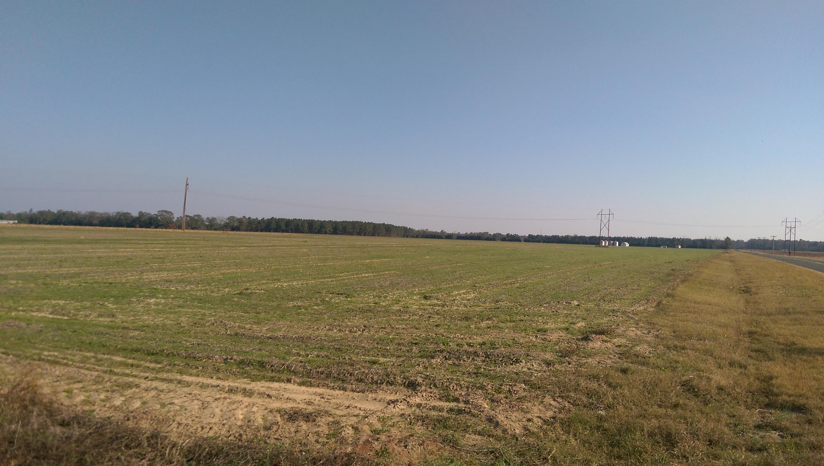 Tbd Lone Star Road Cameron, SC 29030 - Photo 5 of 5 IMAG2853
