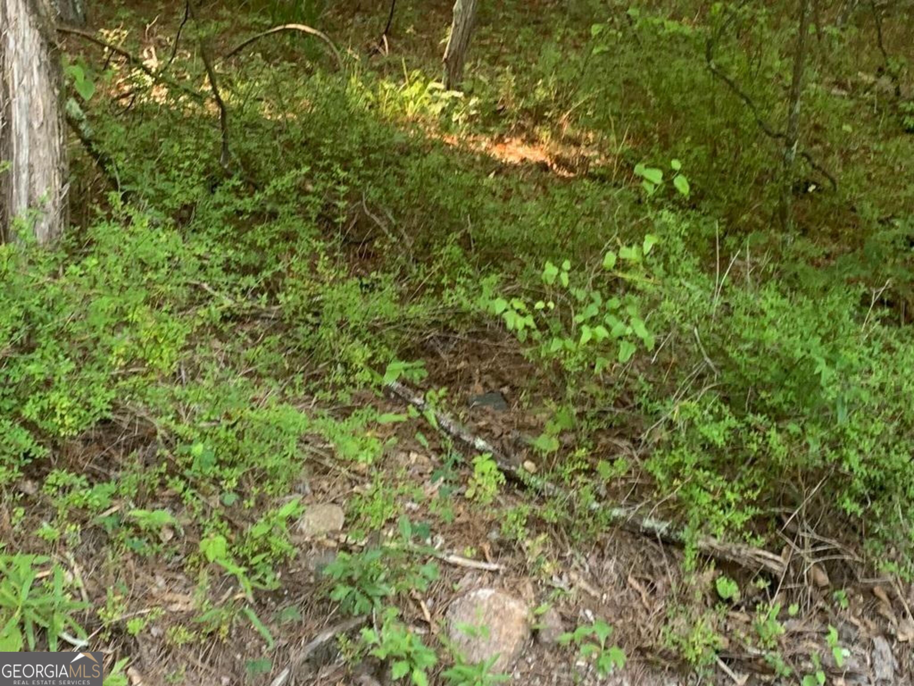 246 Matthews Road, Unit TRACT A 5 ACRES Fayetteville, GA 30215 - Photo 1 of 1