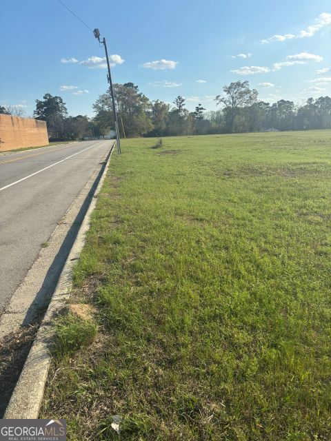 0 South Peters Claxton, GA 30417 - Photo 2 of 6