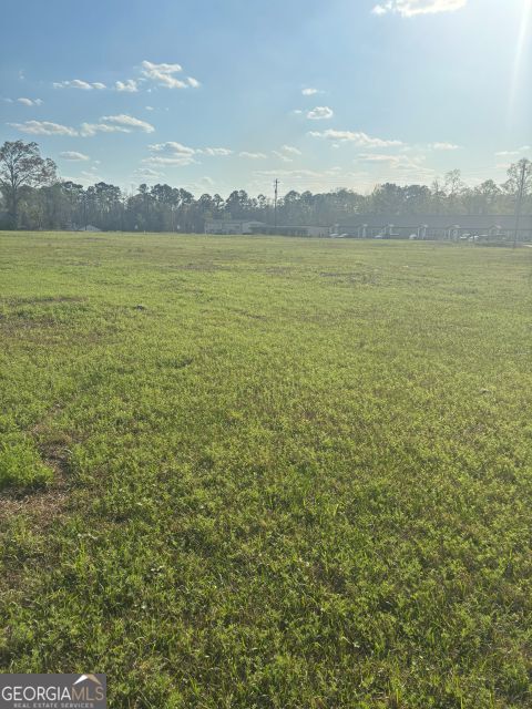 0 South Peters Claxton, GA 30417 - Photo 3 of 6 property