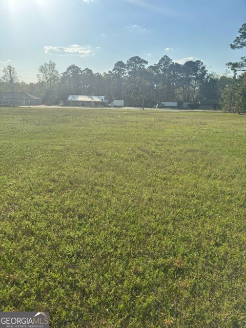 0 South Peters Claxton, GA 30417 - Photo 4 of 6