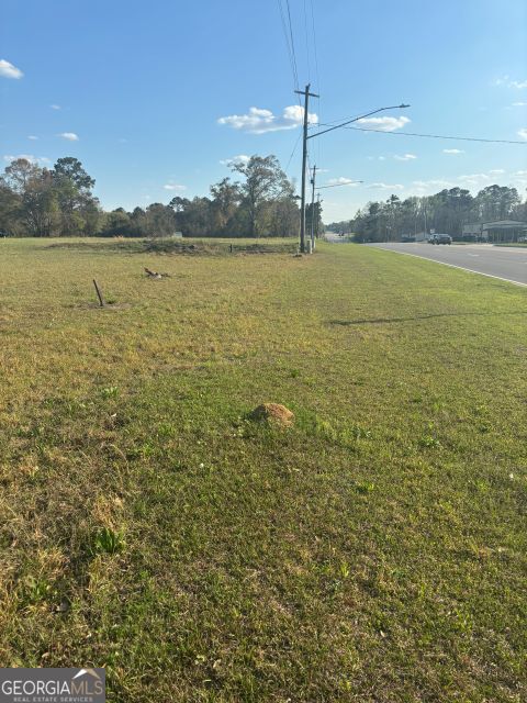 0 South Peters Claxton, GA 30417 - Photo 5 of 6 property