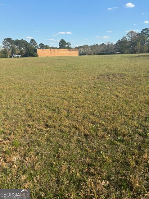 0 South Peters Claxton, GA 30417 - Photo 6 of 6