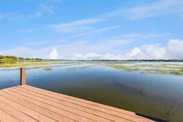 a view of a field of grass and trees
