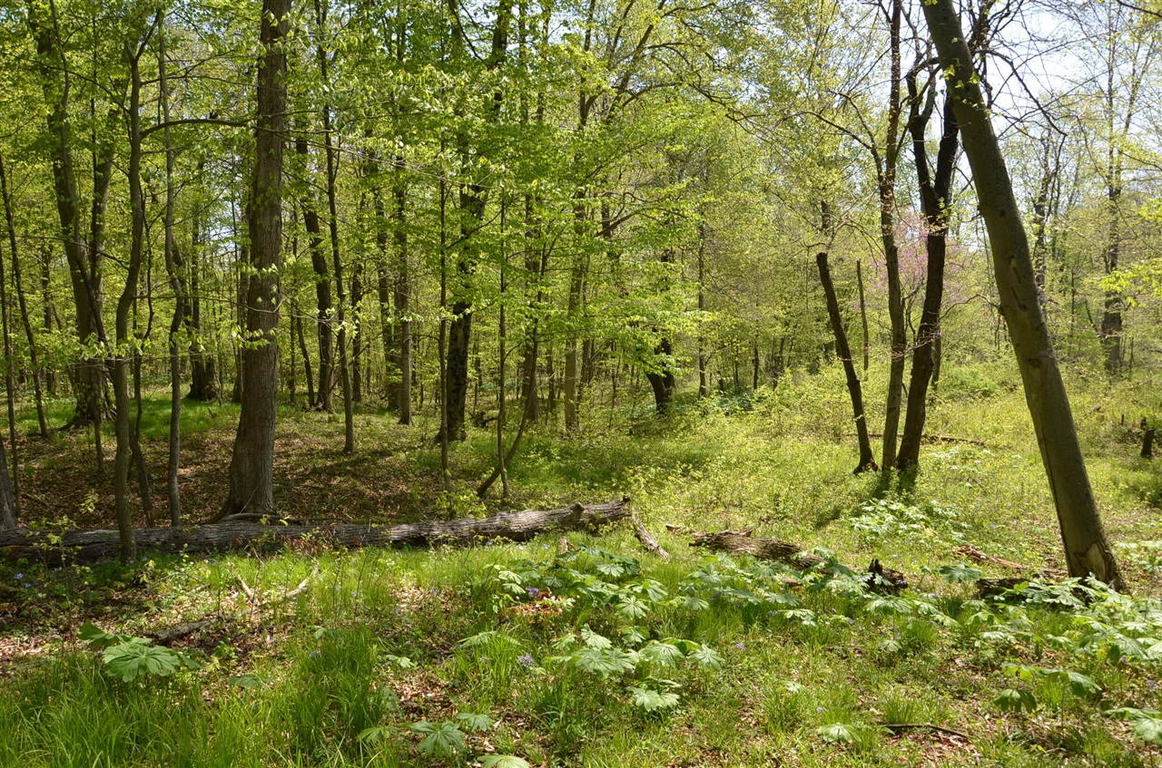 2255 River Road Hastings, MI 49058 - Photo 81 of 94