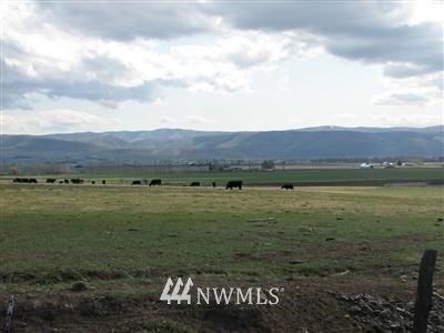 2 X Watson Road Ellensburg, WA 98926 - Photo 1 of 1 Gallery Image 1
