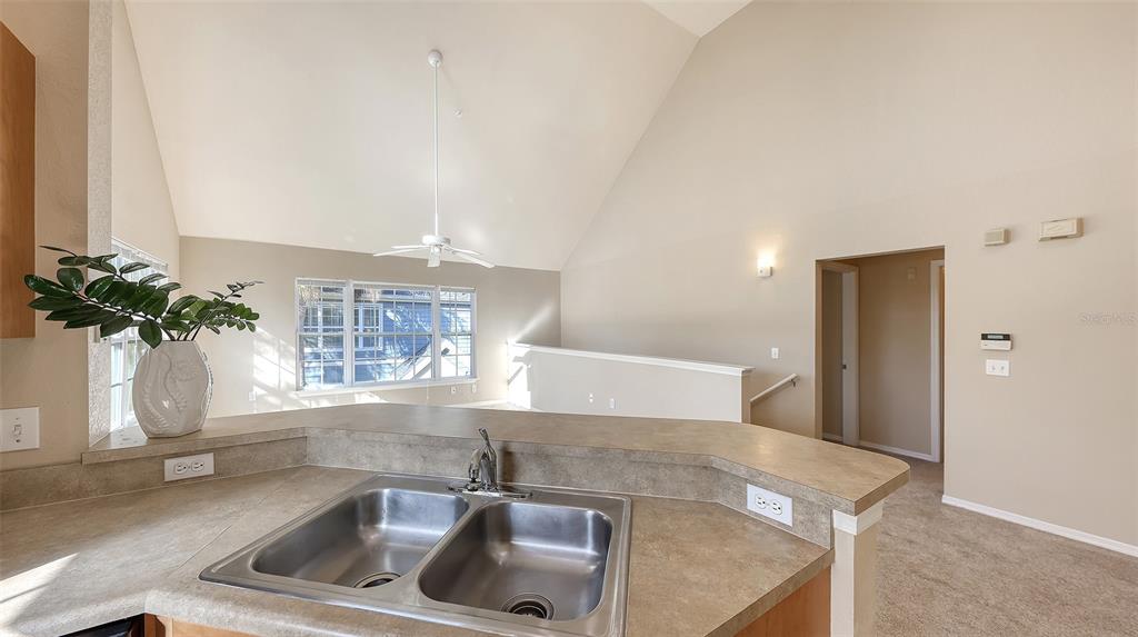 5520 Rosehill Road, Unit 203 Sarasota, FL 34233 - Photo 14 of 46 a kitchen with a sink and a potted plant
