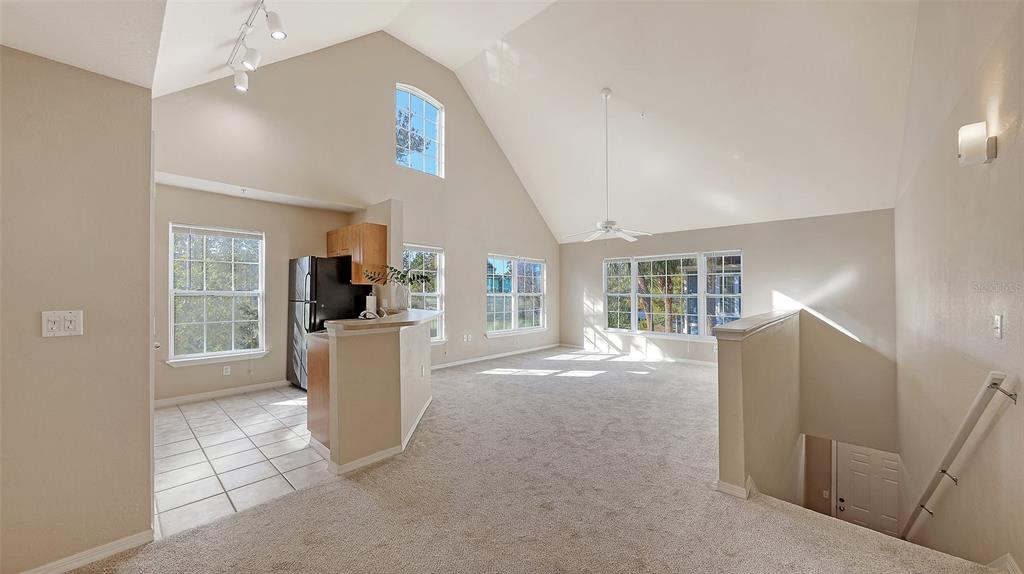 5520 Rosehill Road, Unit 203 Sarasota, FL 34233 - Photo 6 of 46 a view of kitchen with furniture and large window