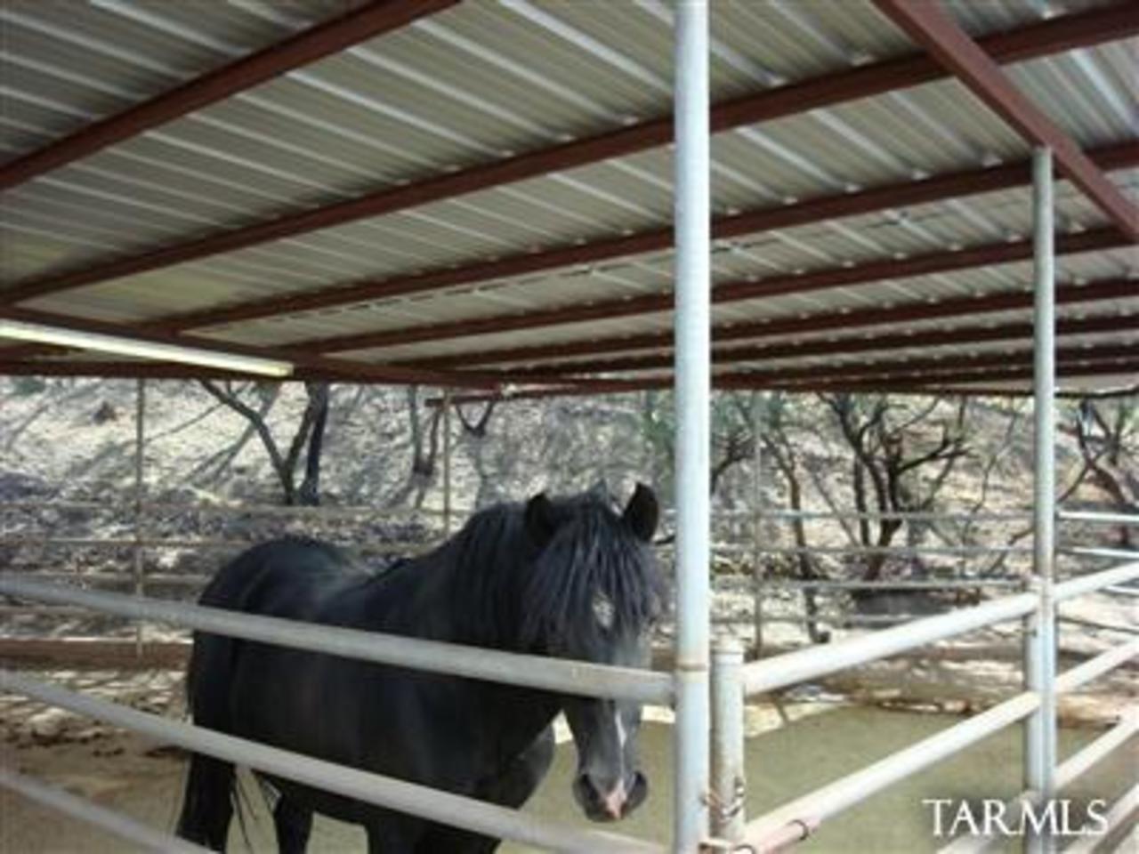 35371 South Back Forty Road Arivaca, AZ 85601 - Photo 16 of 25 Gallery Image 16