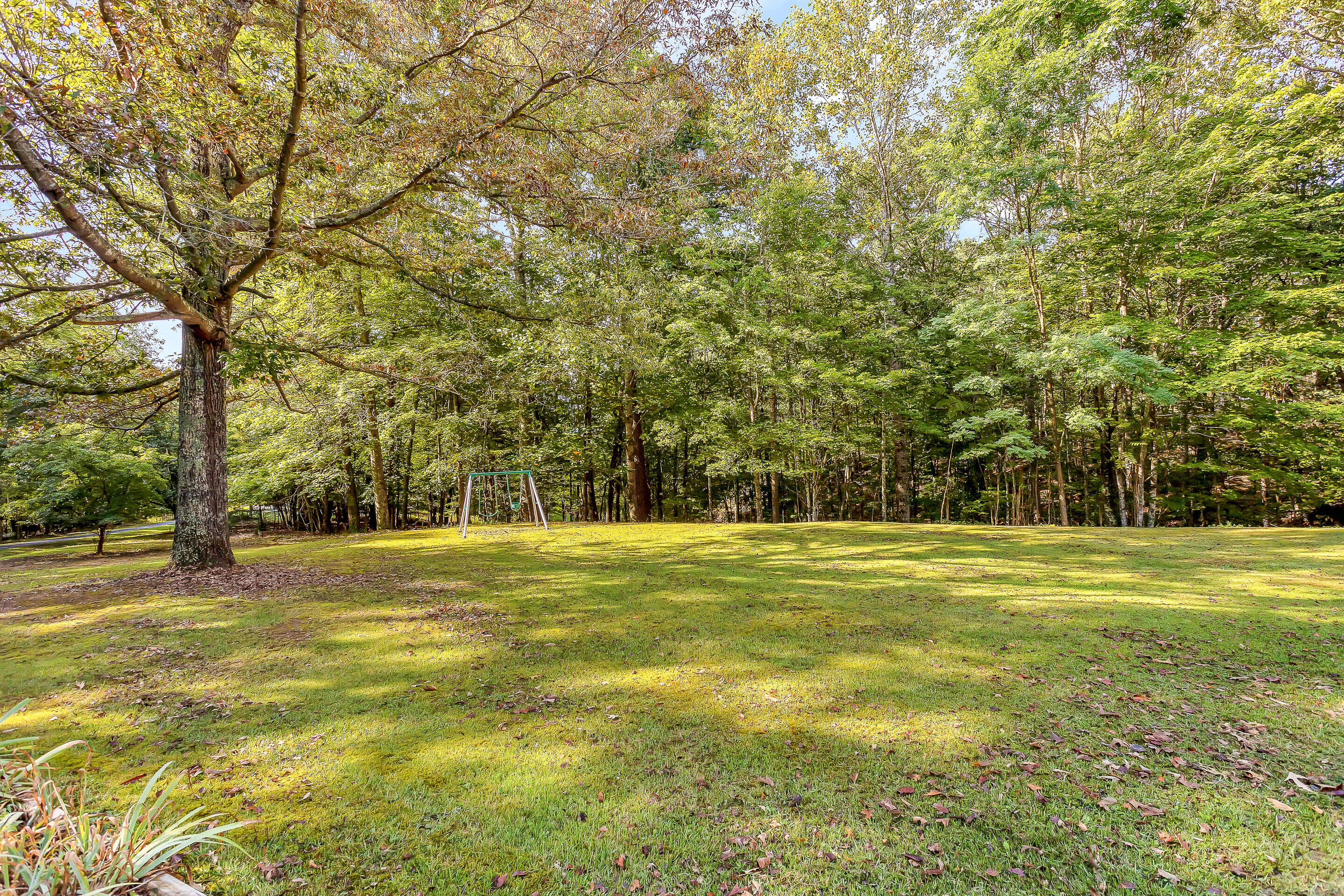 2224 Timberview Road Roanoke, VA 24019 - Photo 42 of 42 42_2224_Timberview_rd_42_mls