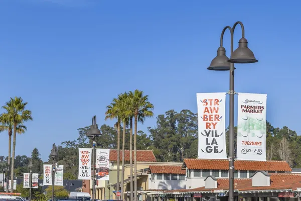 $1,095,000 | 115 Eucalyptus Knoll Street, Mill Valley, CA 94941