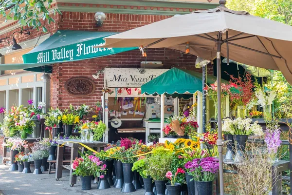 $1,095,000 | 115 Eucalyptus Knoll Street, Mill Valley, CA 94941