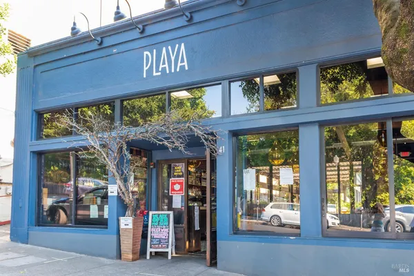 $1,095,000 | 115 Eucalyptus Knoll Street, Mill Valley, CA 94941