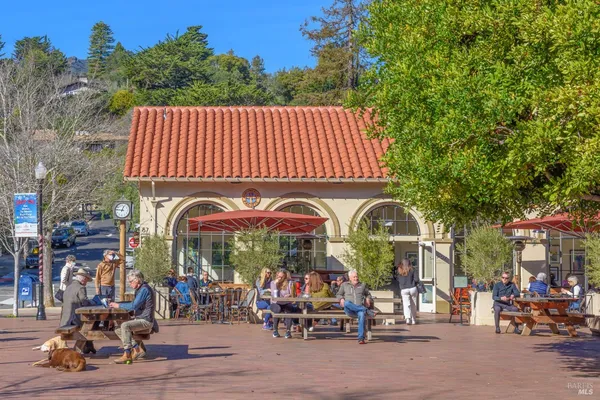 $1,095,000 | 115 Eucalyptus Knoll Street, Mill Valley, CA 94941