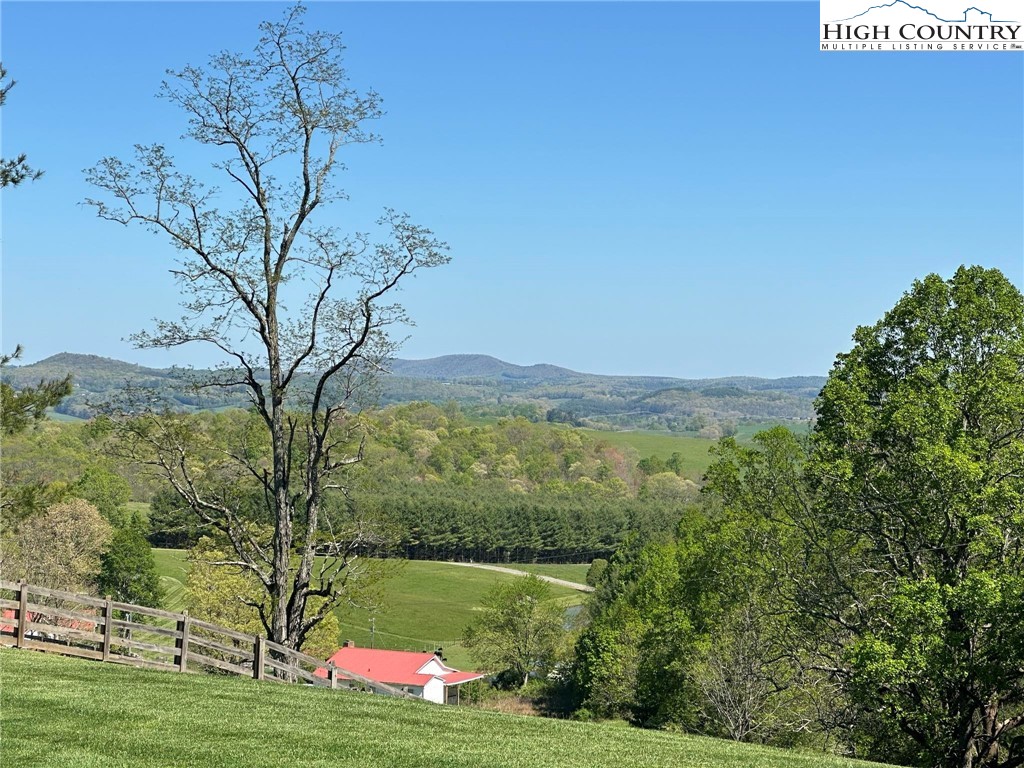4952 Nile Road Sparta, NC 28675 - Photo 34 of 36 a view of a field with a tree in the background