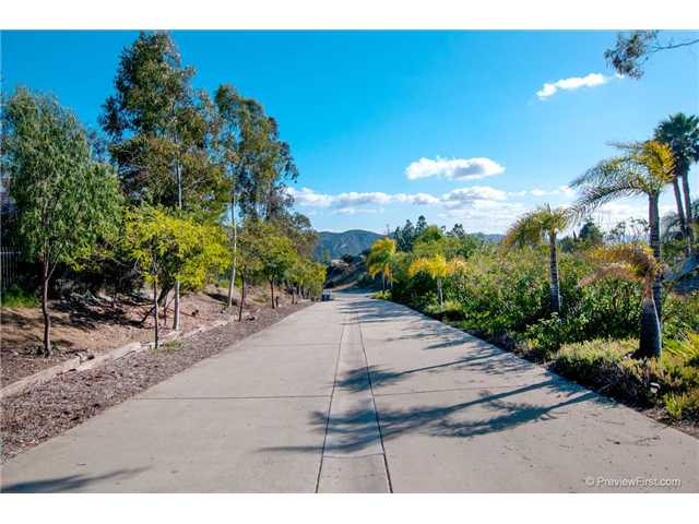 15396 Broad Oaks Road El Cajon, CA 92021 - Photo 24 of 25 LONG PALM TREE ALIGNED DRIVEWAY