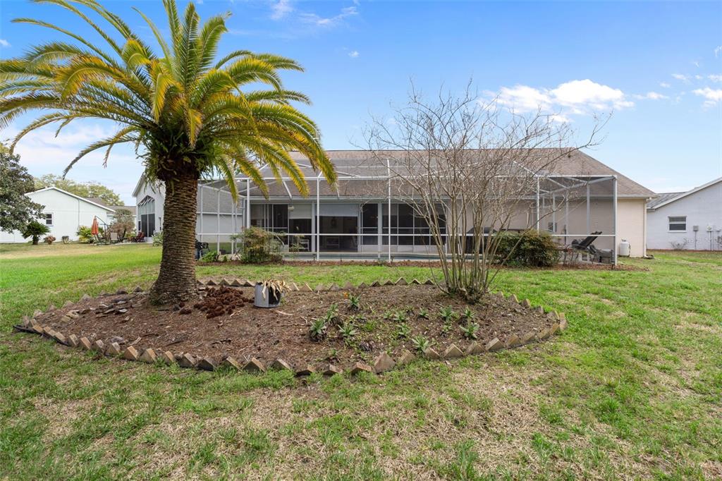 7348 Clearmeadow Drive Spring Hill, FL 34606 - Photo 42 of 89