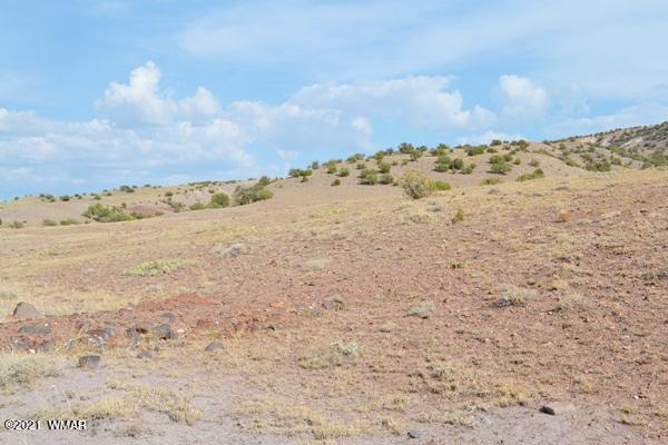 Tbd Tbd Concho, AZ 85924 - Photo 2 of 10