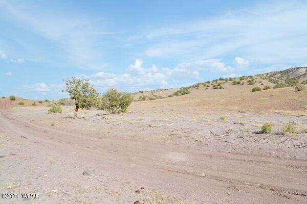 Tbd Tbd Concho, AZ 85924 - Photo 4 of 10