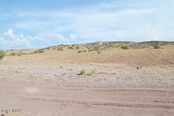 Tbd Tbd Concho, AZ 85924 - Photo 5 of 10