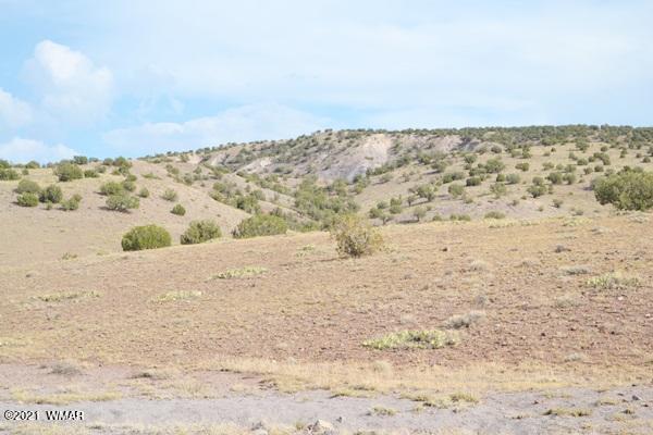 Tbd Tbd Concho, AZ 85924 - Photo 6 of 10