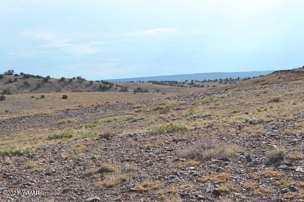 Tbd Tbd Concho, AZ 85924 - Photo 7 of 10
