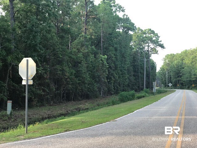 Lot E Beach Road Foley, AL 36535 - Photo 3 of 13 Bay Road W