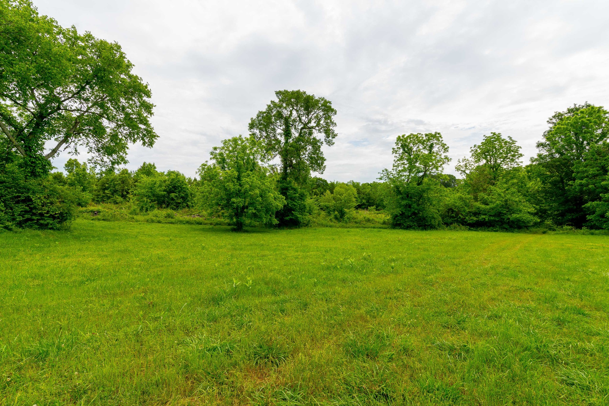 6107 Beckwith Road Mount Juliet, TN 37122 - Photo 10 of 45 Gallery Image 10