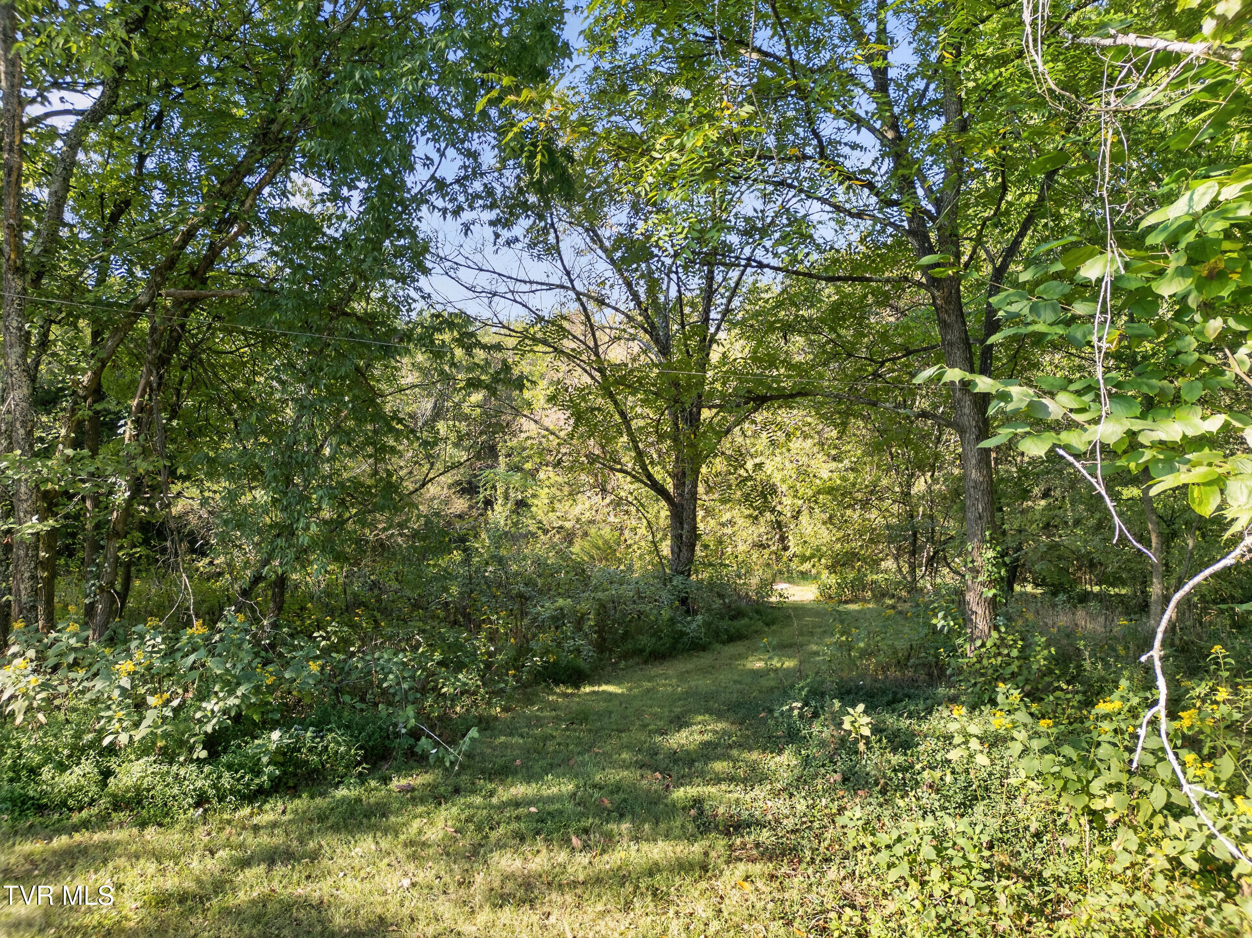 545 Johnson Road Greeneville, TN 37743 - Photo 93 of 104 DJI_0993