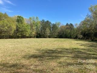 0 J B Denton Road Lancaster, SC 29720 - Photo 11 of 12 Gallery Image 11