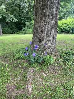 $485,000 | 5849 Bending Chestnut Road, Franklin, TN 37064