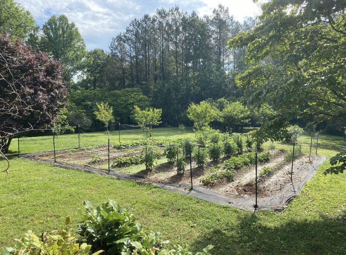 925 Bumpas Road Lawrenceburg, TN 38464 - Photo 11 of 28