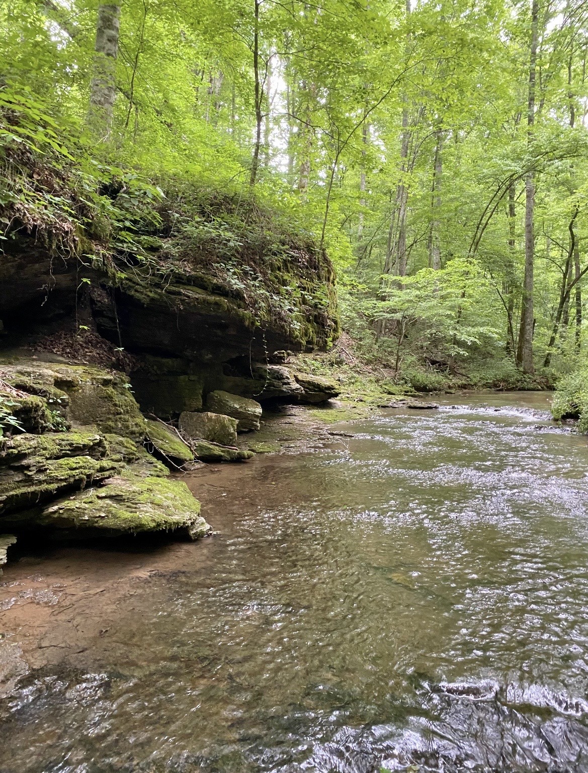 925 Bumpas Road Lawrenceburg, TN 38464 - Photo 13 of 28