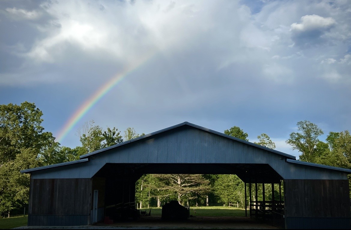 925 Bumpas Road Lawrenceburg, TN 38464 - Photo 14 of 28